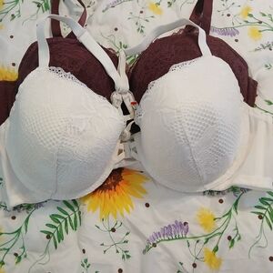 Auden Lace Push-Up Bra - White and Burgundy